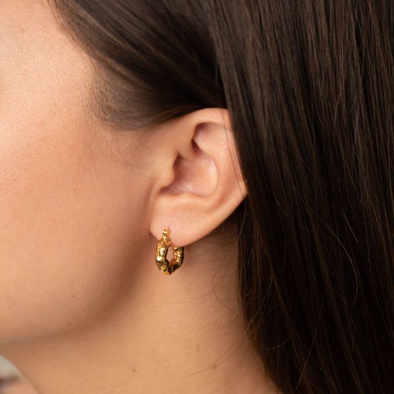 EVI SMALL GOLDEN CREOL EARRING