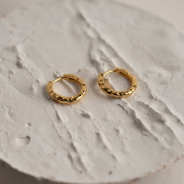 SELINA SMALL GOLDEN CREOL EARRING